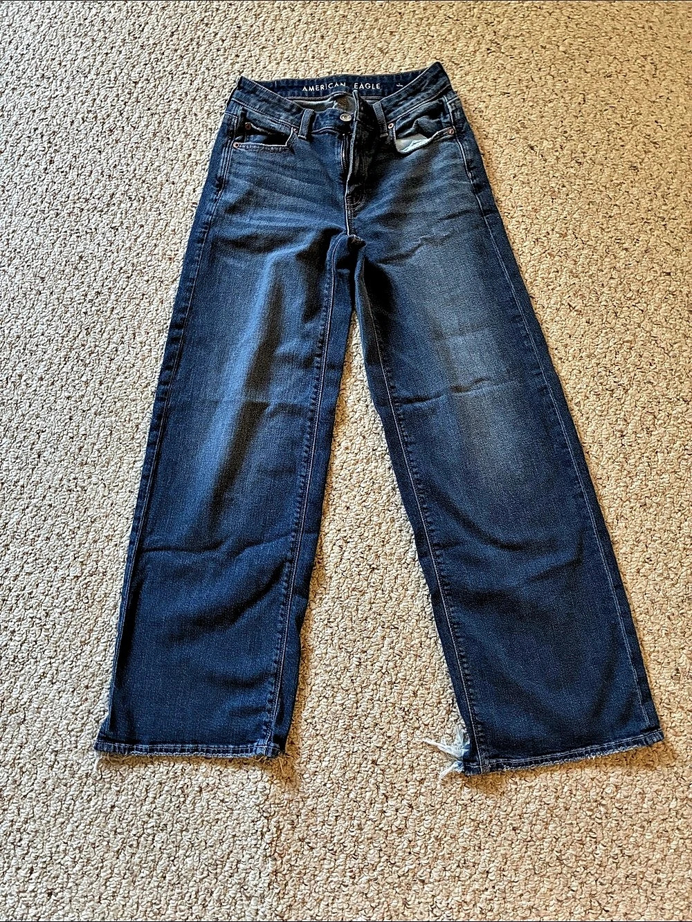American Eagle Low-Rise Baggy Wide Leg Wide Leg Jeans in Blue